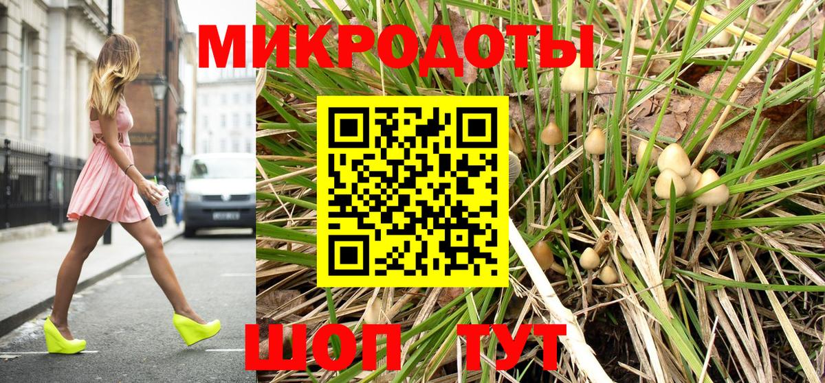 Псилоцибиновые грибы Psilocybine cubensis  Вход с VPN  Норильск 